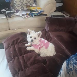 Meet your Posher, Kelly